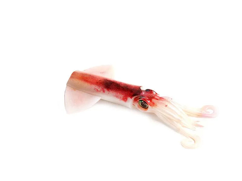 JLC Xipi Evo 170mm Spare Body