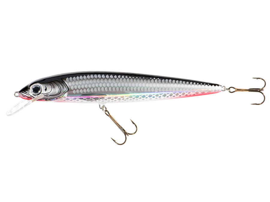 Jaxon Holo Select 21cm-75gr