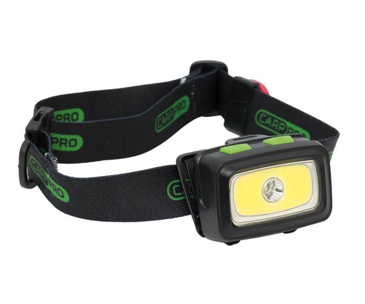 Carp Pro Headlamp AAA batteries