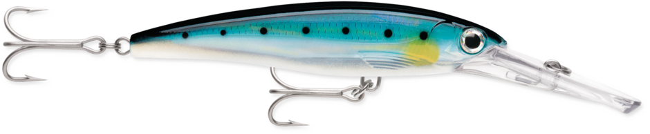 Rapal X-Rap Magnum Divebait-20' 6mt