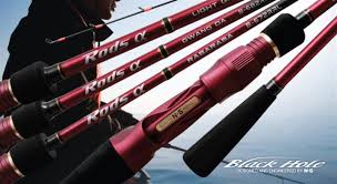 NS Black Hole Light Game Max 300gr (B-662H2MF)