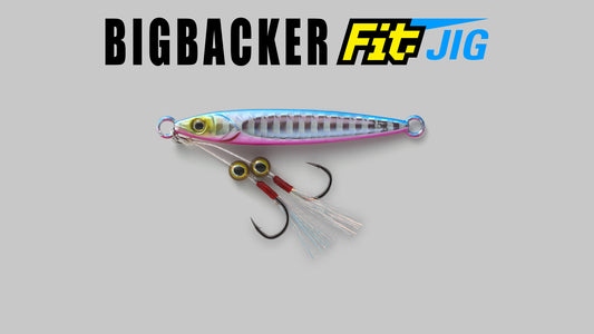 Jackall Bigbacker Fit jig 15gr